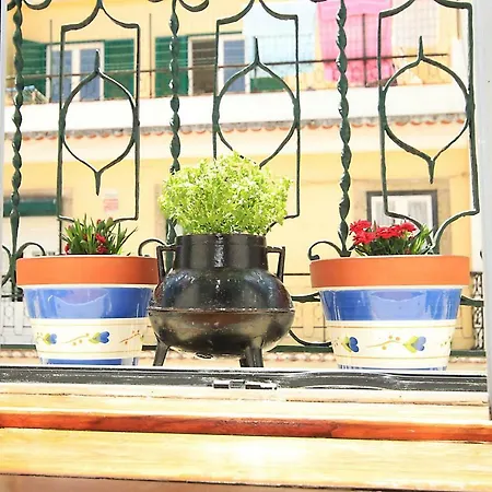 Travel Lovers Apartment